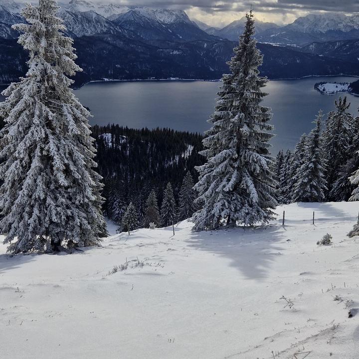 Profile Picture of jasonbuechele (@jasonbuechele) on Tiktok