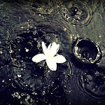 Profile Picture of Antonis St (@antonis st) on Flickr