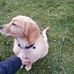 Profile Picture of Dustin Schaaf (@dustin.schaaf.16) on Facebook