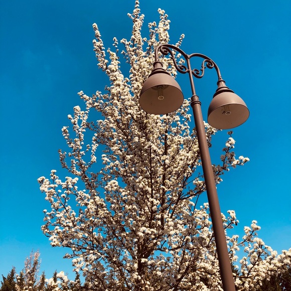 Profile Picture of Debolina Chatterjee (@debolinac) on Poshmark