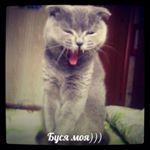 Profile Picture of James Johnson (@umbergasouza) on Instagram