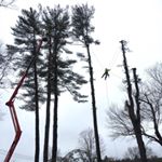 Profile Picture of Josh Noyes (@josh.noyes) on Instagram