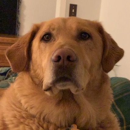 Andrew.nielsen - Tiktok Profile Picture of Andrew.nielsen (@andrew.nielsen) on Tiktok