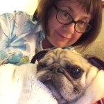 Profile Picture of Max, Lucy, Walter & Frankie (@itsmaxpugcrew) on Instagram