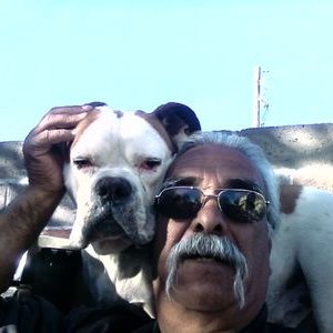 Profile Picture of Jose Borjon (@JoseBorjon3) on Twitter