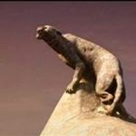 Profile Picture of Ariel Gabriel Almaguer (@arielgabrielalmaguer) on Instagram