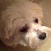 Profile Picture of Jon Eggert (@jon.eggert.3) on Facebook