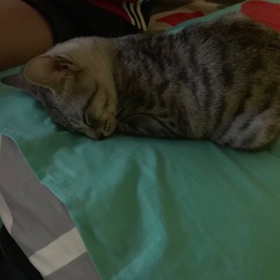 Profile Picture of BenjaminYeo (@benjaminyjb_) on Twitter