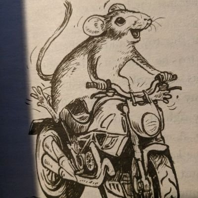 Profile Picture of Padraic Farley (@JamesStarch) on Twitter