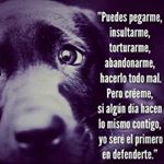 Profile Picture of Alejandro Solano Duran (@fire.solano) on Instagram
