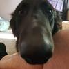 Profile Picture of Steve Jolly (@@stevejolly24) on Tiktok