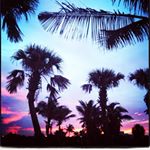 Profile Picture of Briana Barry (@_bk1989b) on Instagram