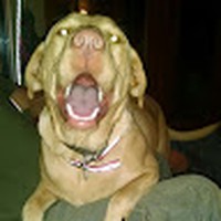 Profile Picture of Jodi Oats Hermey (@jodi-oats-hermey) on Quora