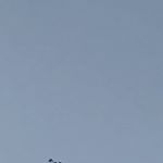 Profile Picture of KIM BoYeanG (@boo__314) on Instagram