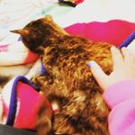 Profile Picture of olivia paige McElroy (@oliviapaigemcelroy) on Instagram