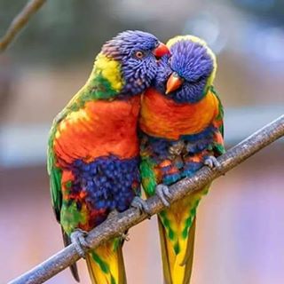 Profile Picture of Apu Adhikary (@apu.adhikary.54584) on Facebook