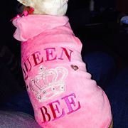 Profile Picture of Stephen Gillibrand (@sgillibrand) on Myspace