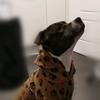Profile Picture of Alex Lakin (@@al.lakin) on Tiktok
