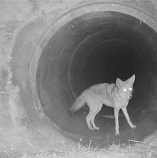 Mario Lalli - Facebook Profile Picture of Mario Lalli (@mario.lalli.9) on Facebook