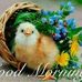 Profile Picture of Alvin Honey (@Alvin-Honey) on Facebook