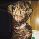 Profile Picture of Nathan Buchholz (@nathanbuchholz_) on Instagram