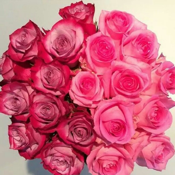 Profile Picture of Marlene Canavati (@marcv08) on Poshmark