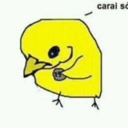 Profile Picture of Louro Jose (@LouroJose14) on Twitter