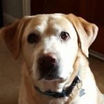 Profile Picture of Paula McKeever (@pjm2766msn.com_) on Instagram