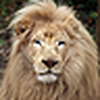 Profile Picture of Daniel ION (@daniel.ion) on Flickr