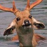 Profile Picture of Lydia McDaniel (@swagliad) on Instagram