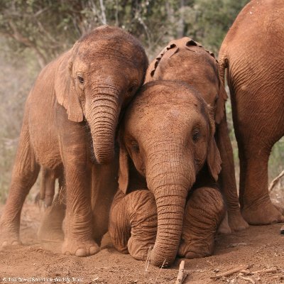 Profile Picture of Camha Nguyen (@nguyen_camha) on Twitter