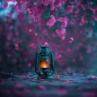 Profile Picture of Amal Abdirahman (@AmalAbdirahma12) on Twitter