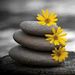 Profile Picture of Clarisa Larsen (@clarisa1449) on Pinterest