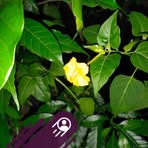 Profile Picture of Max Mitchell (@max.mitchell.56829446) on Facebook