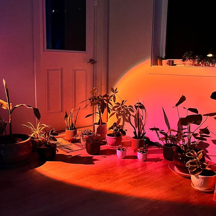 Profile Picture of laura (@passthespliffxo) on Tiktok