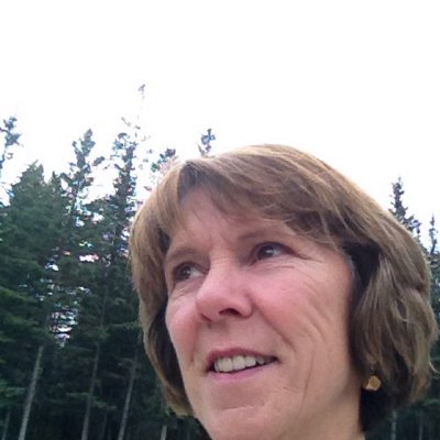 Profile Picture of Lynn Calvert (@tomorrow4ever) on Twitter
