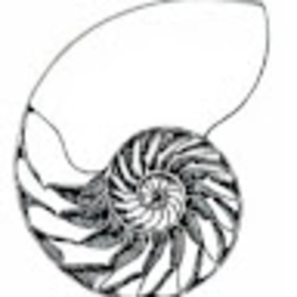 Profile Picture of Simon Oliver (@simonoliver01) on Poshmark