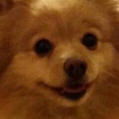 Profile Picture of Sam Lorraine (@SamLorraine8) on Twitter