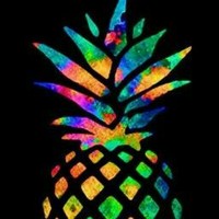 Profile Picture of Brandon Palm (@brandon-palm-6) on Quora