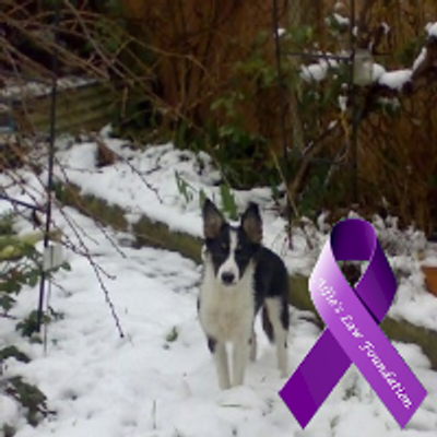 Profile Picture of Sandy Walters (@fiorenzie) on Twitter