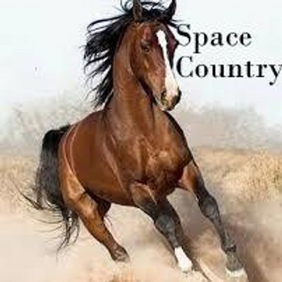 Profile Picture of SPACE COUNTRY (@SueliKahlbaum) on Twitter