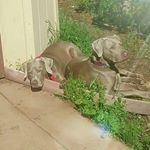 Profile Picture of John Hollow Horn Bear (@john_chumba) on Instagram