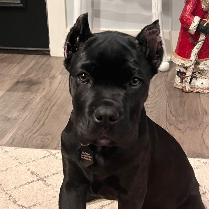 Profile Picture of Larry Leiser (@larryleiser40) on Tiktok