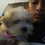 Profile Picture of Daniel (@_daniel___________olivan_) on Instagram