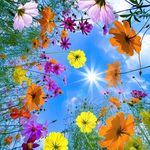 Profile Picture of Lisa Bain Heckel (@lisamheckel) on Instagram