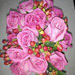 Profile Picture of tery (@terence_webb) on Instagram