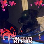 Profile Picture of Geraldine Rivet (@geraldine.rivet.92) on Instagram