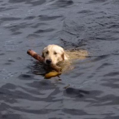 Profile Picture of Melanie Deveau (@Melanie_Britton) on Twitter