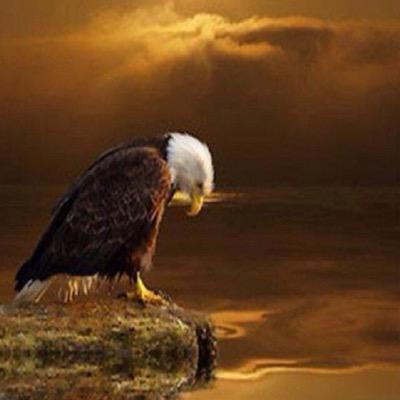 Profile Picture of Kenneth Ray Cantrell (@justkenc) on Twitter