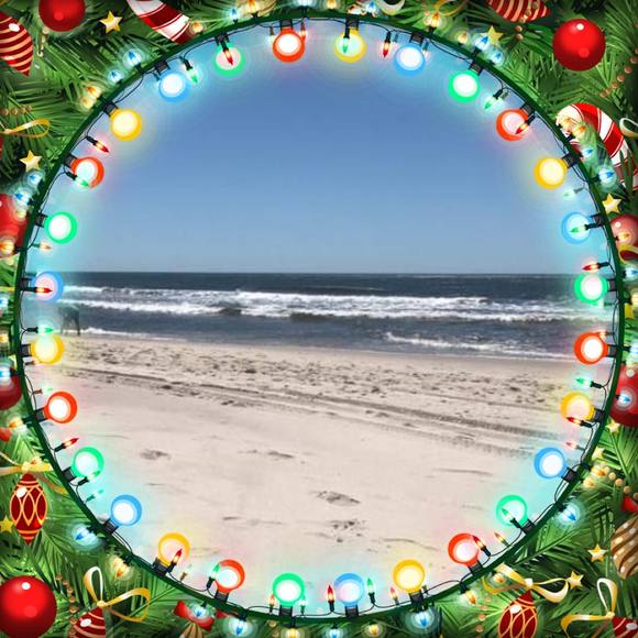 Profile Picture of Marianne Darienzo (@butterfly41257) on Poshmark